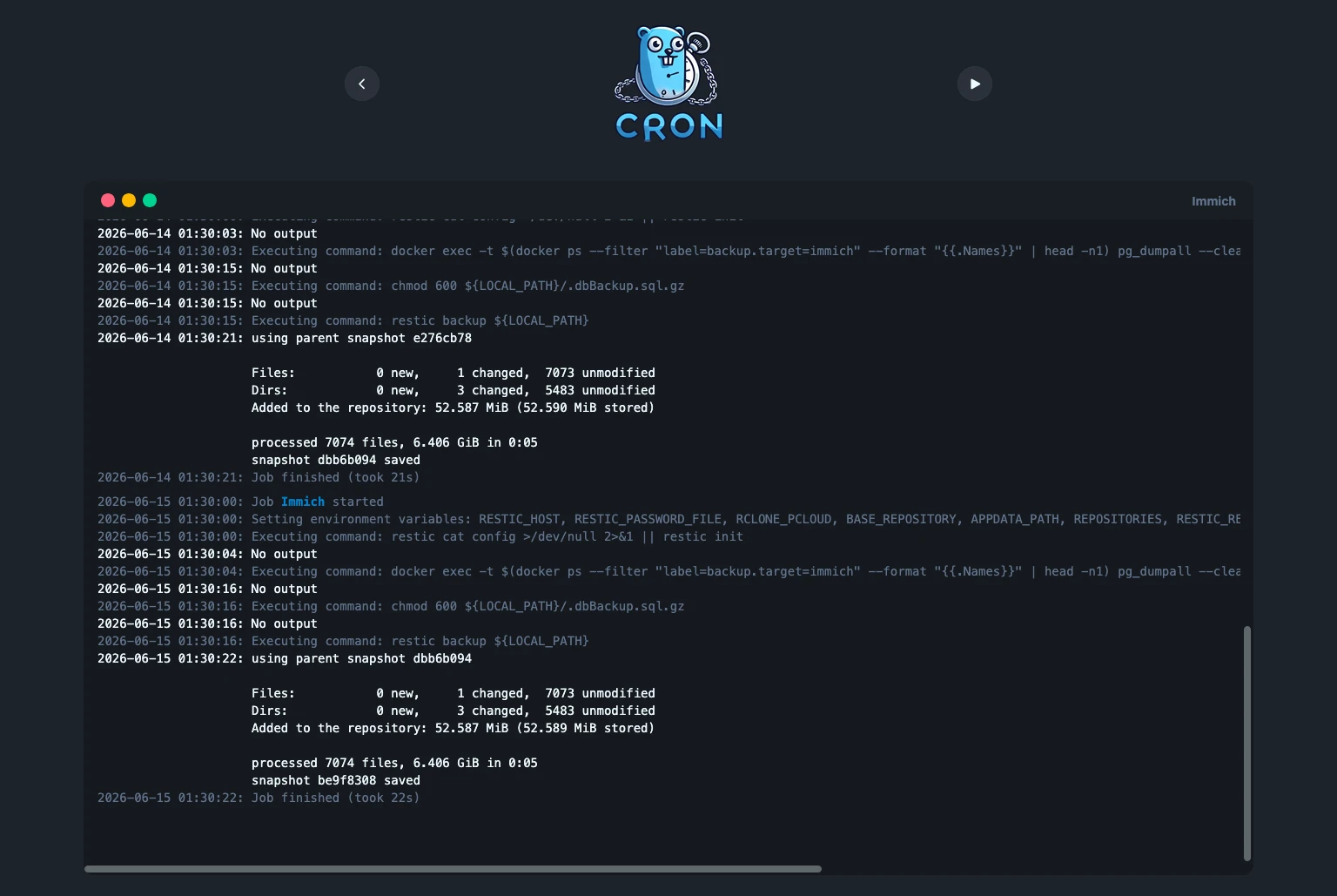 Immich Backup Job in GoCron Web Interface