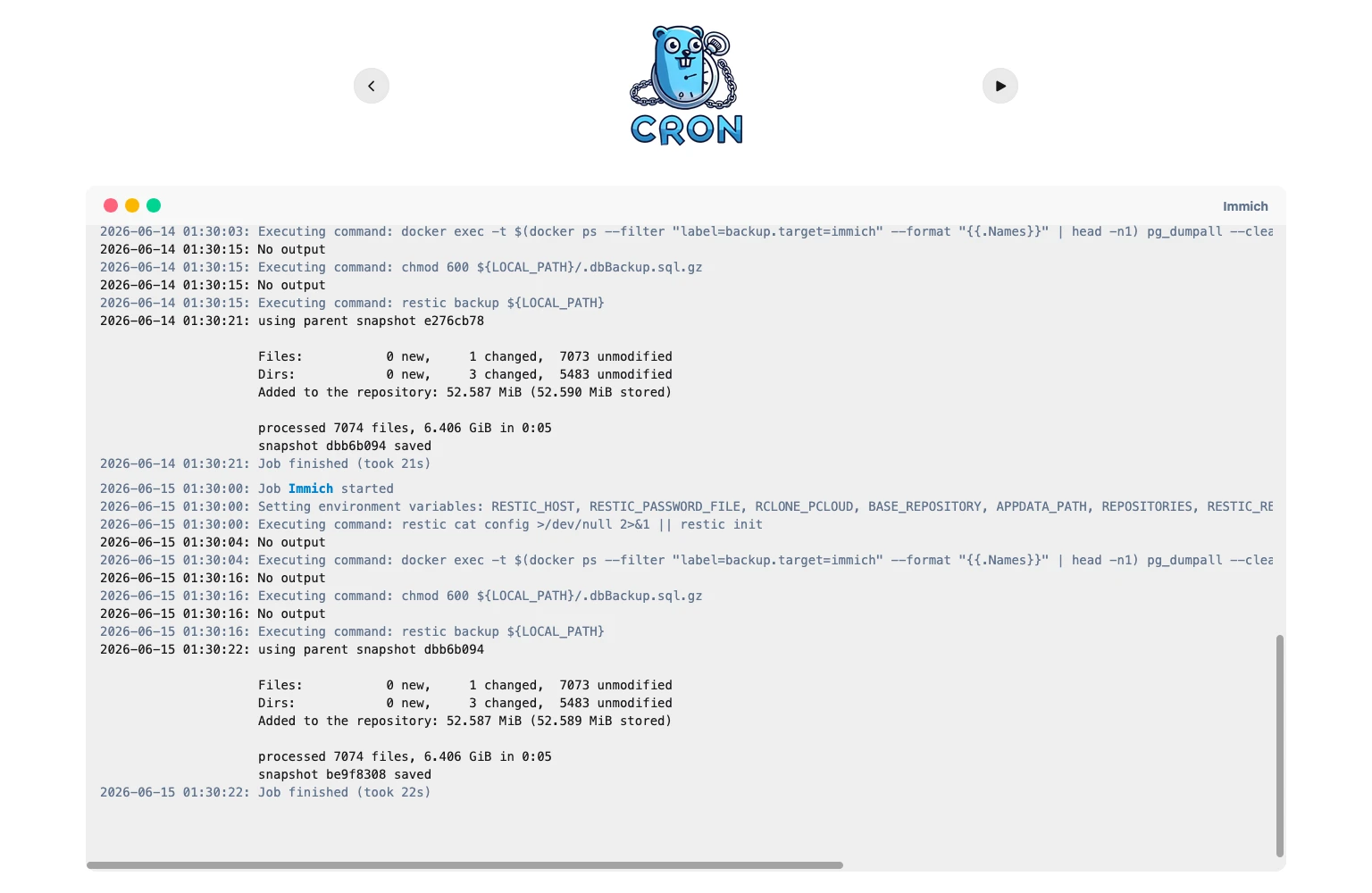 Immich Backup Job in GoCron Web Interface